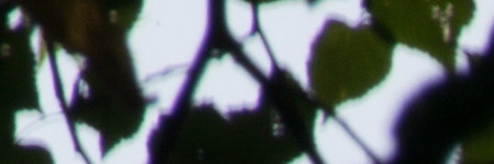 Nikon AF-S DX NIKKOR 55-200mm f/4-5.6G IF-ED VR