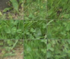 Panasonic Lumix G Vario 100-300mm F4-5,6