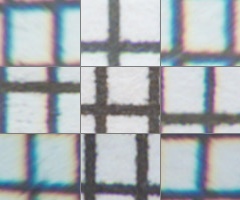 Fujifilm X-S1: jedinečný