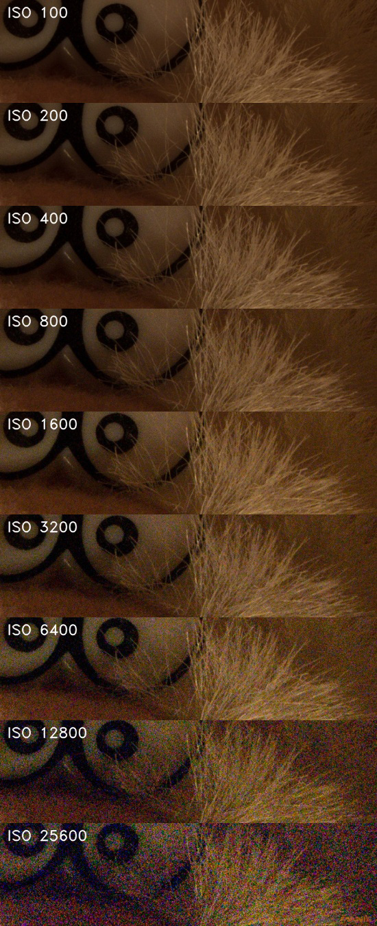 Nikon D7200: přesvědčivé zrcadlo