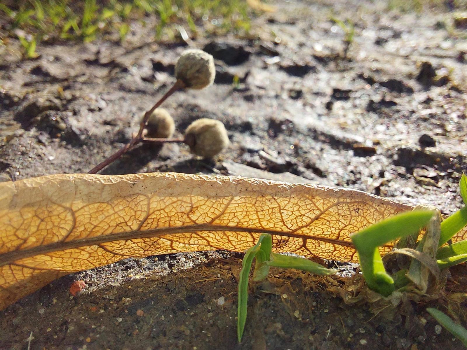 Samsung Galaxy A52s 5G: populární univerzál