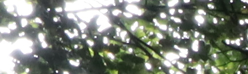 Canon EF-M 28mm f/3.5 Macro IS STM