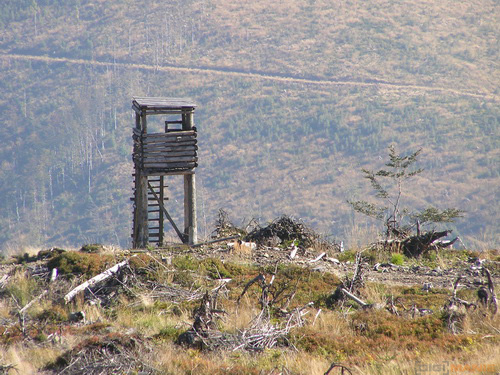 Starý vs. nový aneb megapixely k ničemu?