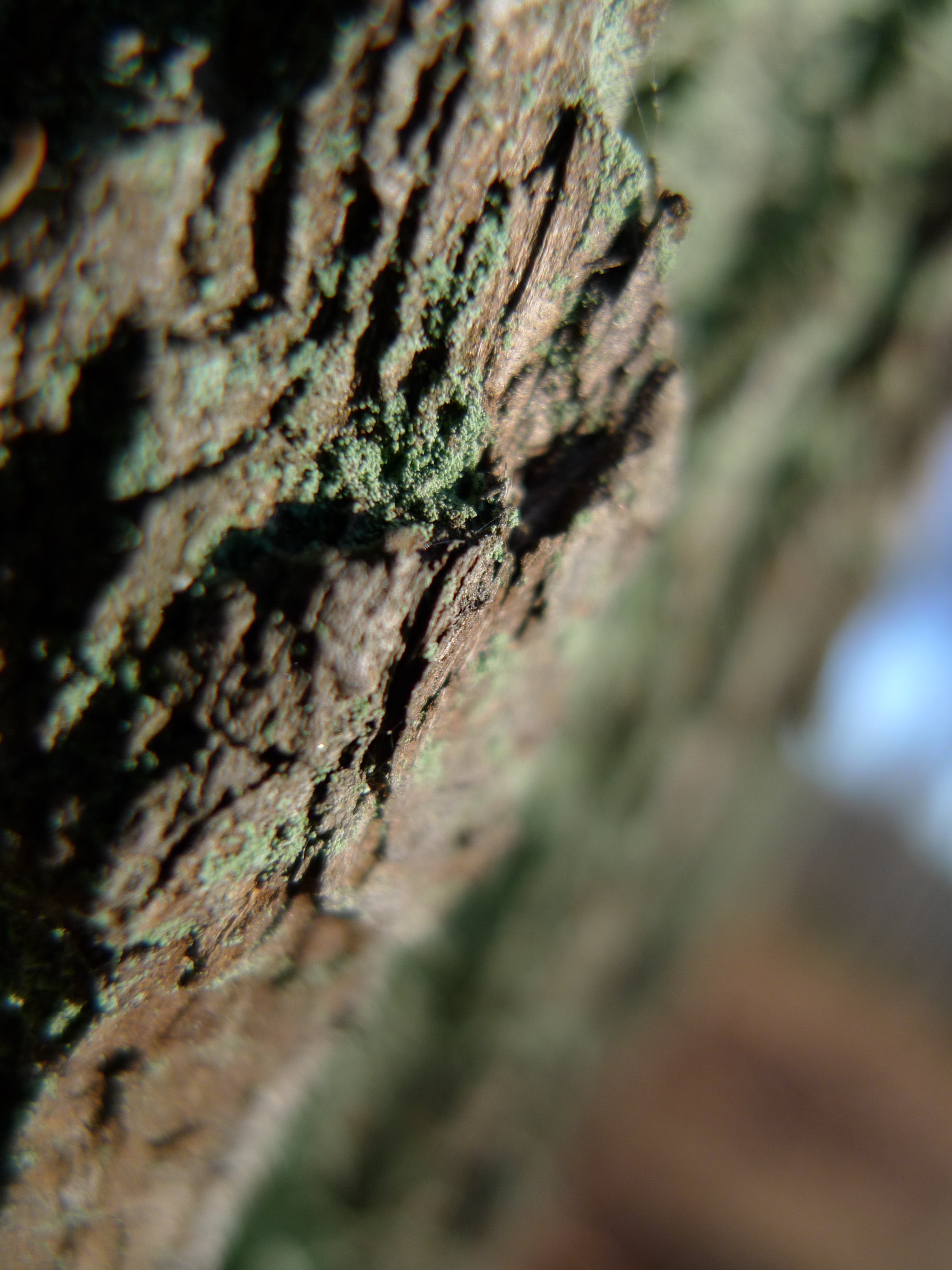 Panasonic Lumix LX3: nejtajnější přání vyslyšena