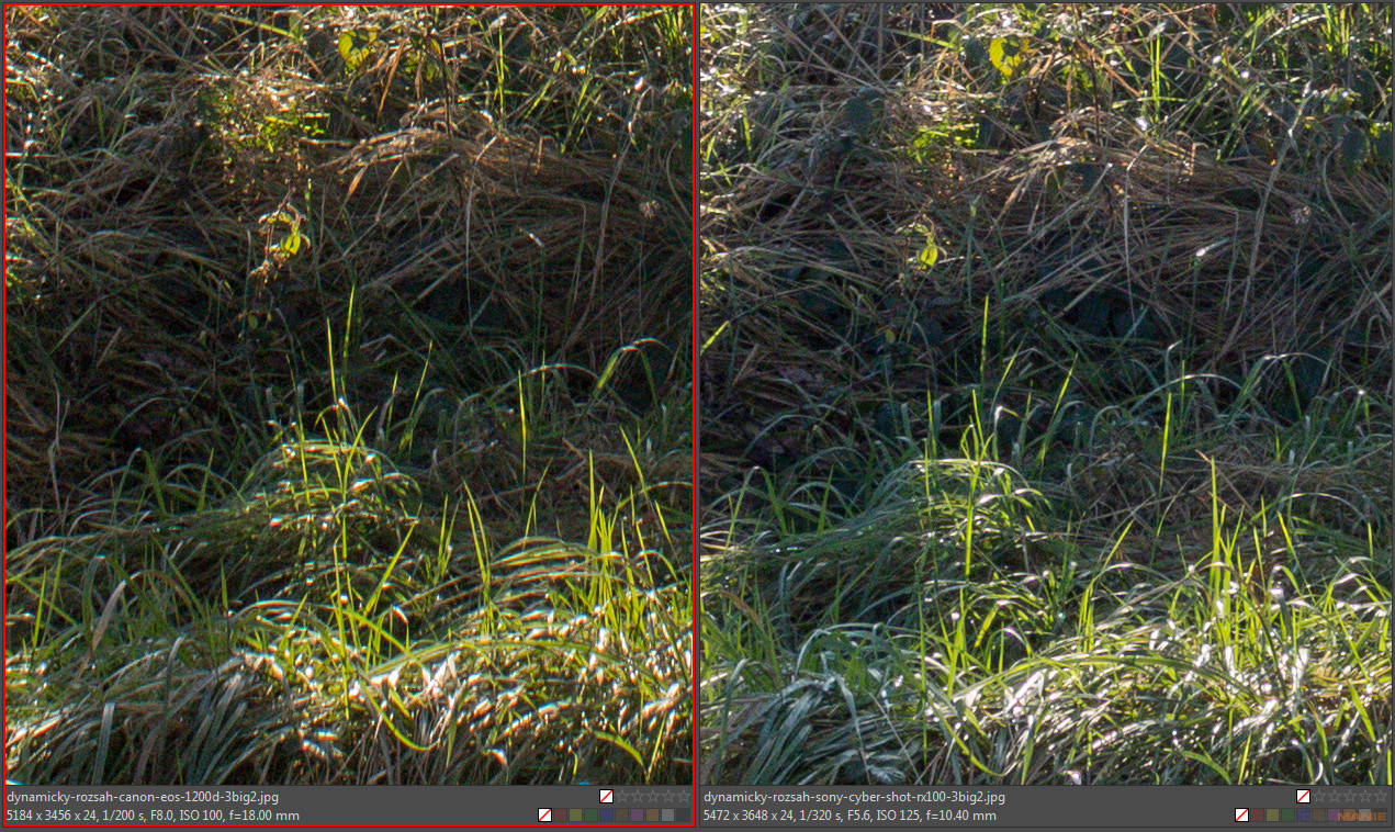 DSLR vs kompakt: Canon EOS 1200D s 18-55mm, Sony RX100