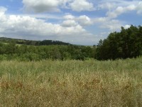 Acer CP-8660: zajímavý rebrand