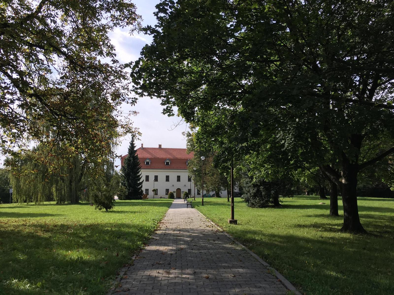 Apple iPhone SE: kompaktní silák