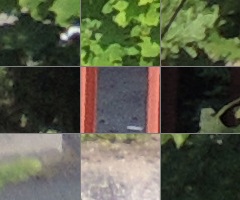 Nikon Coolpix P510: lovec rekordů