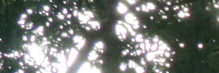 Sony E PZ 18-105mm F4 G OSS (SELP18105G)