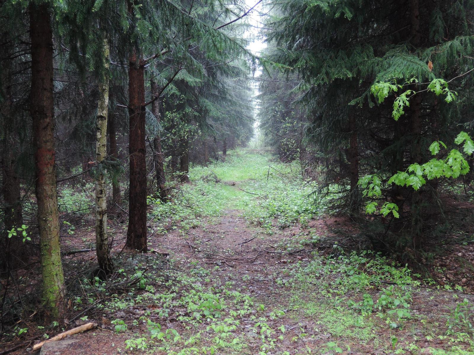 Nikon Coolpix P330: do vyšších sfér