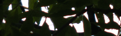 Panasonic Lumix S Pro 70-200mm F4 O.I.S.