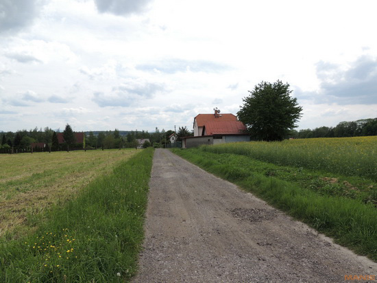 Nikon Coolpix P510: lovec rekordů