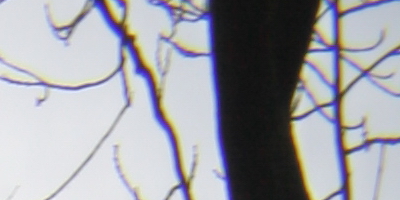 Canon EF 35mm f/1.4L USM