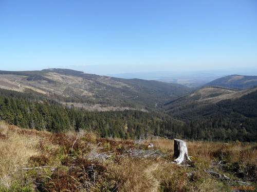 Samsung WB210: dotkněte se 21 milimetrů!