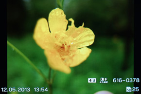 Olympus Stylus XZ-2: jednoduše skvělý