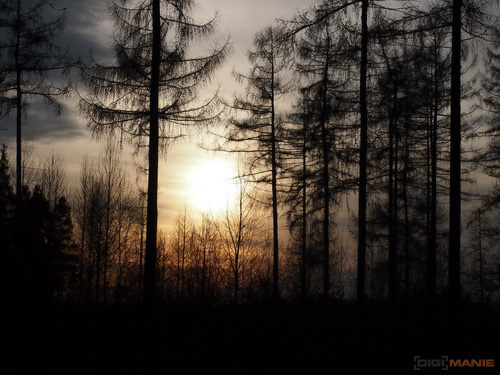 Olympus PEN E-P3: král všech PENů