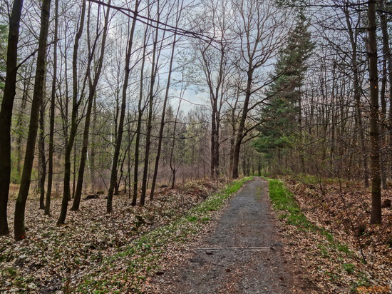 Sony Cyber-shot WX100: maličký silák