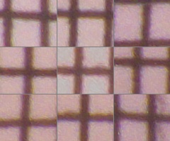 Fujifilm FinePix HS20EXR: důstojný nástupce