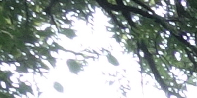 Sony Cyber-shot RX100: terminátor zrcadlovek