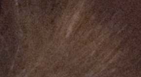 Nikon D3300: drobek se silným srdcem