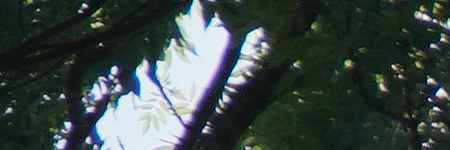 Sony E PZ 18-105mm F4 G OSS (SELP18105G)