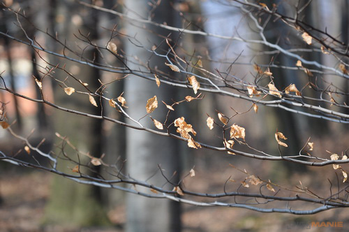 Dva objektivy nebo jeden ultrazoom?