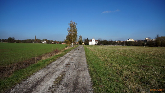 Sony NEX-5R: fázový posun k lepšímu?