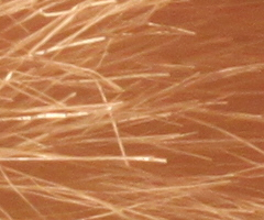 Canon EOS 500D: povedený pokračovatel rodu