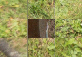 Panasonic Lumix FZ300: opět na špici