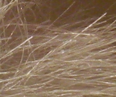 Nikon Coolpix S1100pj: kino v kompaktu