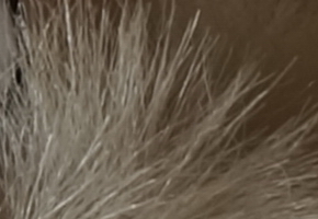 Sony NEX-6: pan dlouho očekávaný