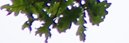 Pentax-DA 18-135mm 1:3.5-5.6 ED AL [IF] DC WR