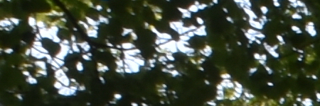 Tamron SP AF 10-24mm F3.5-4.5 Di II LD Aspherical IF