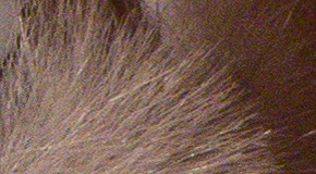 Panasonic Lumix TZ70: krůček k profi ultrazoomu