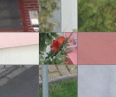 Canon EOS 550D: třídní premiant