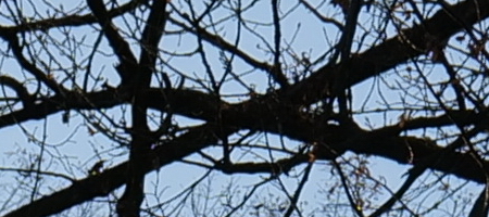 Panasonic Lumix S 20-60mm F3.5-5.6