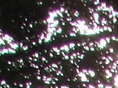 Fujifilm S100FS: jde zrcadlovkám po krku