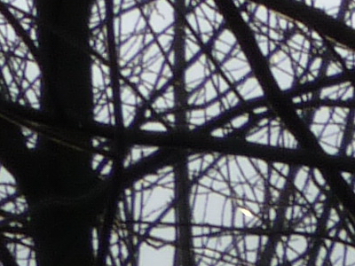 Panasonic Lumix FZ45 a FZ100: na vrcholu