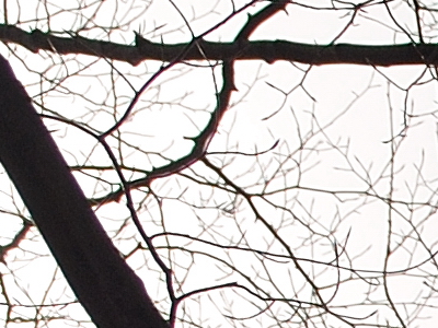 Postačí setový objektiv? Nikon vs. Sigma a Tamron