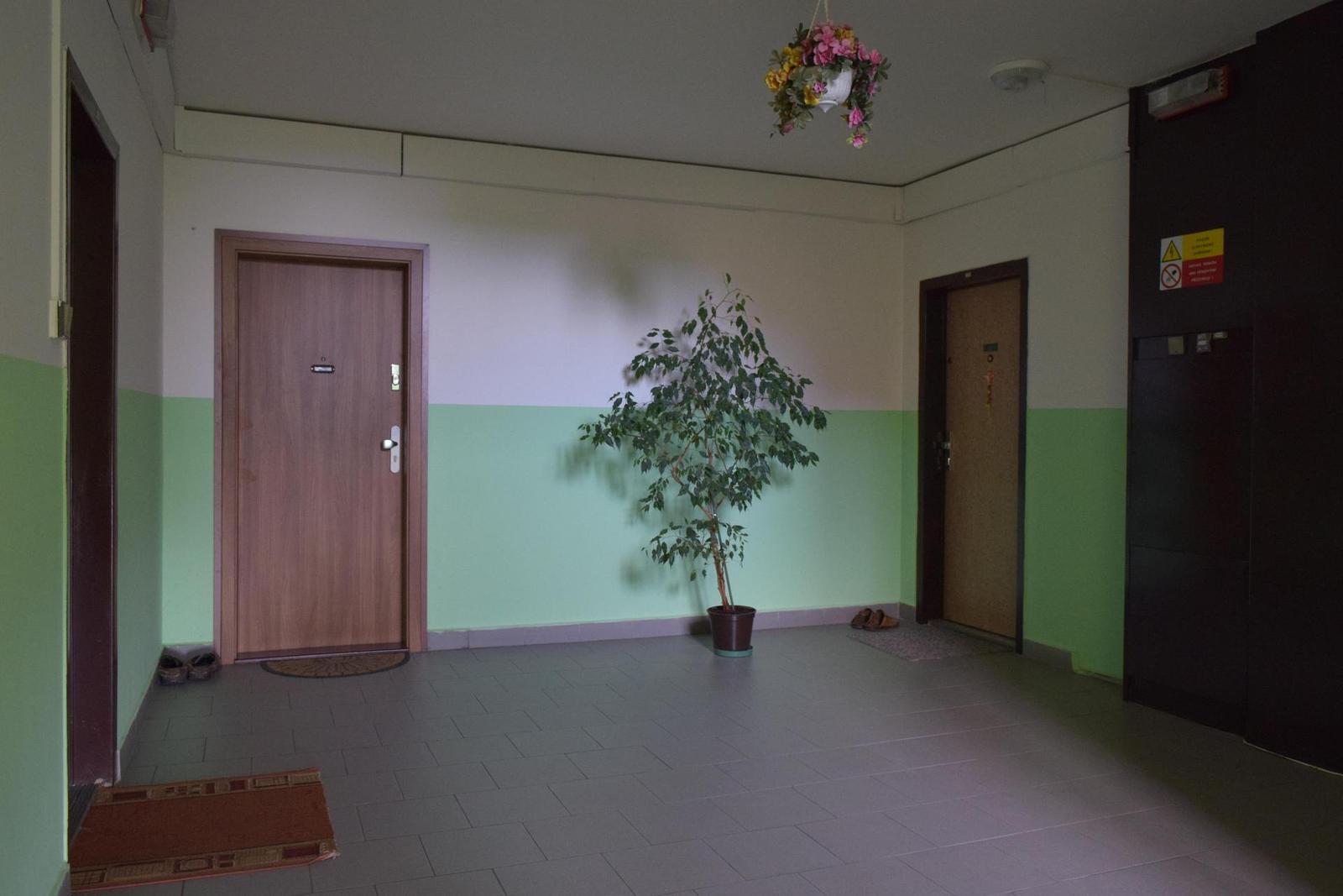 Nikon D3300: drobek se silným srdcem