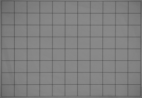 Panasonic Lumix G Vario 100-300mm F4-5,6