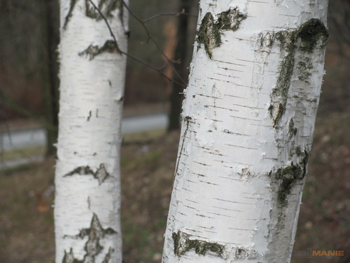 Canon PowerShot SX120 IS: zraje jako víno