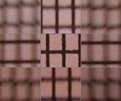 Olympus M.Zuiko Digital 40-150 mm F4-5,6 + nová R verze