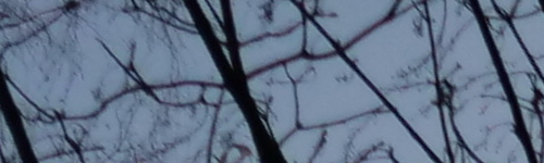 Panasonic Leica DG Vario-Elmarit 12-60mm / F2.8-4.0 ASPH. / Power O.I.S.