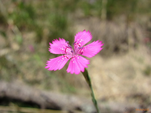 Canon IXUS 300 HS: superstylovka i pro náročné