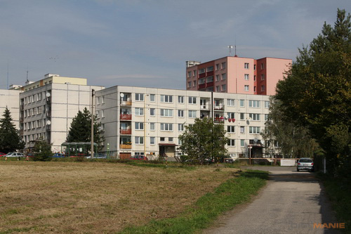 Canon EOS 550D: třídní premiant