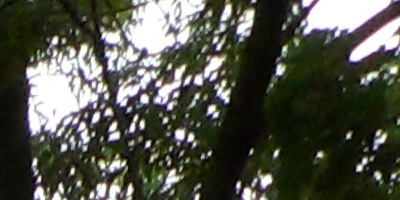 Samsung PL210: levně s grácií