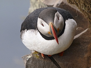 Nik Color Efex Pro 4: oblíbené filtry počtvrté