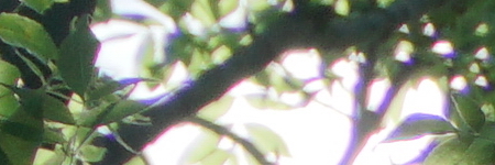 Sony E PZ 18-105mm F4 G OSS (SELP18105G)