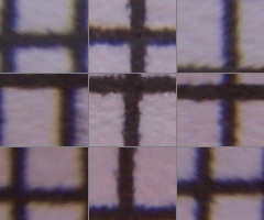 Sony Alpha A230: nejlevnější z nového trojlístku